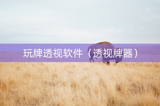 玩牌透视软件（透视牌器）