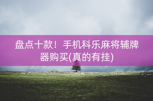 盘点十款！手机科乐麻将辅牌器购买(真的有挂)