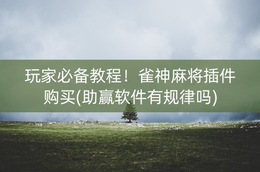 玩家必备教程！雀神麻将插件购买(助赢软件有规律吗)