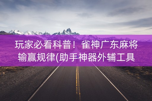 玩家必看科普！雀神广东麻将输赢规律(助手神器外辅工具)