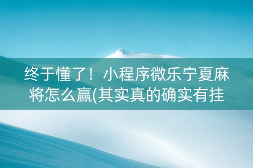 终于懂了！小程序微乐宁夏麻将怎么赢(其实真的确实有挂)