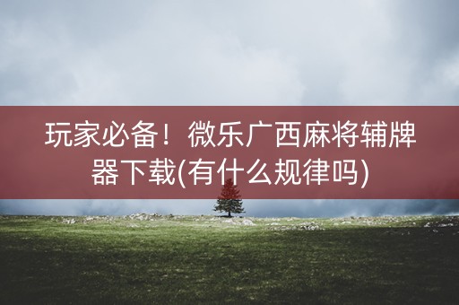 玩家必备！微乐广西麻将辅牌器下载(有什么规律吗)