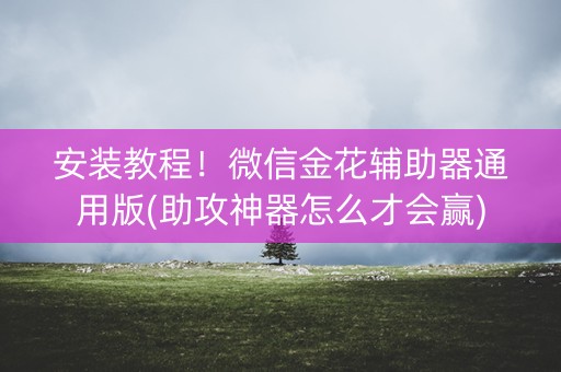 安装教程！微信金花辅助器通用版(助攻神器怎么才会赢)