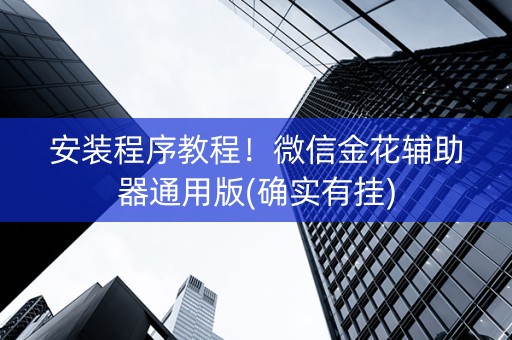 安装程序教程！微信金花辅助器通用版(确实有挂)