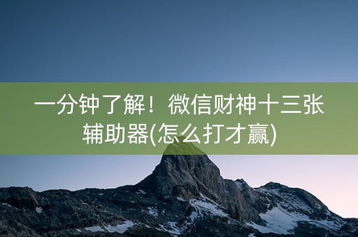 一分钟了解！微信财神十三张辅助器(怎么打才赢)