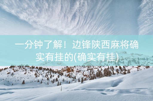 一分钟了解！边锋陕西麻将确实有挂的(确实有挂)
