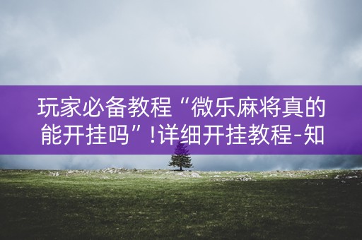 玩家必备教程“微乐麻将真的能开挂吗”!详细开挂教程-知乎