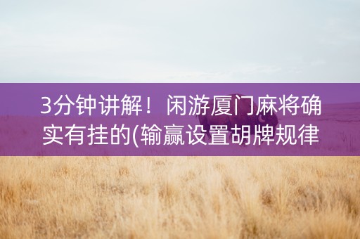 3分钟讲解！闲游厦门麻将确实有挂的(输赢设置胡牌规律)