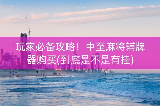 玩家必备攻略！中至麻将辅牌器购买(到底是不是有挂)