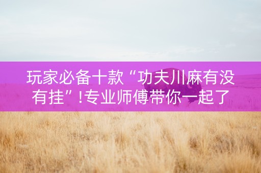 玩家必备十款“功夫川麻有没有挂”!专业师傅带你一起了解（详细教程）-知乎