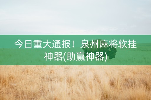 今日重大通报！泉州麻将软挂神器(助赢神器)