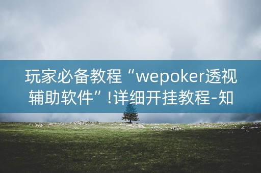 玩家必备教程“wepoker透视辅助软件”!详细开挂教程-知乎