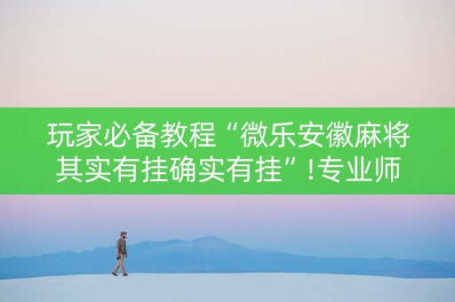 玩家必备教程“微乐安徽麻将其实有挂确实有挂”!专业师傅带你一起了解（详细教程）-知乎