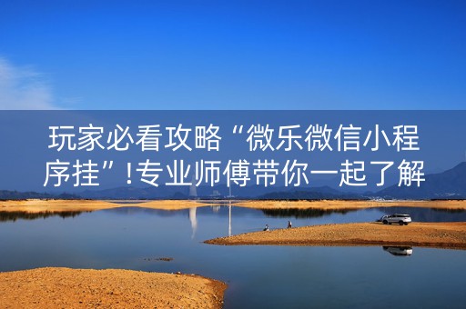 玩家必看攻略“微乐微信小程序挂”!专业师傅带你一起了解（详细教程）-知乎