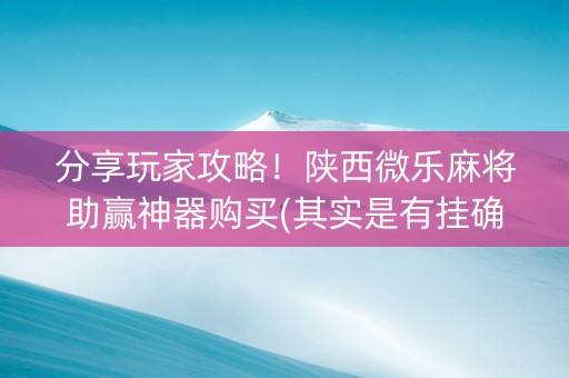 分享玩家攻略！陕西微乐麻将助赢神器购买(其实是有挂确实有挂)