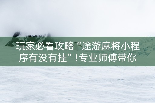 玩家必看攻略“途游麻将小程序有没有挂”!专业师傅带你一起了解（详细教程）-知乎