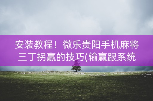 安装教程！微乐贵阳手机麻将三丁拐赢的技巧(输赢跟系统有关系吗)