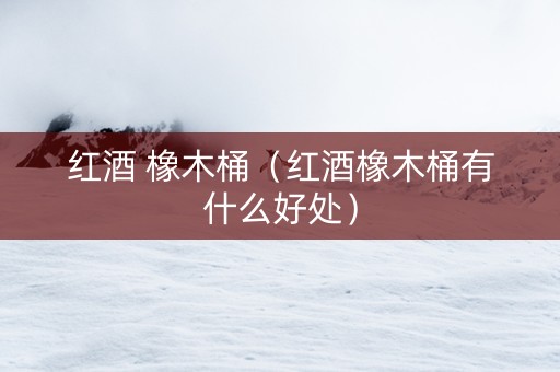 红酒 橡木桶（红酒橡木桶有什么好处）