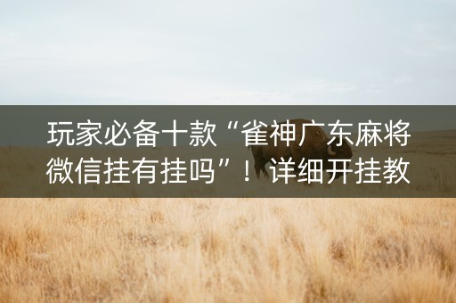 玩家必备十款“雀神广东麻将微信挂有挂吗”！详细开挂教程（确实真的有挂)-知乎