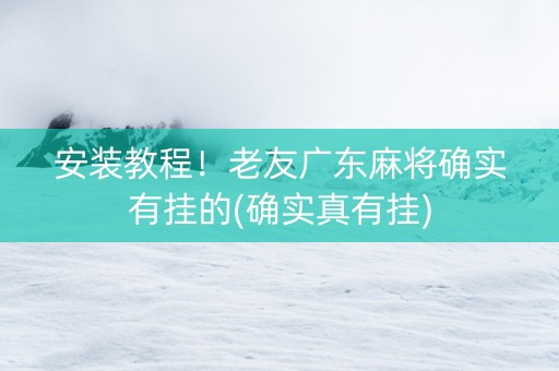 安装教程！老友广东麻将确实有挂的(确实真有挂)