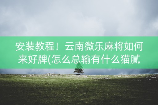 安装教程！云南微乐麻将如何来好牌(怎么总输有什么猫腻)