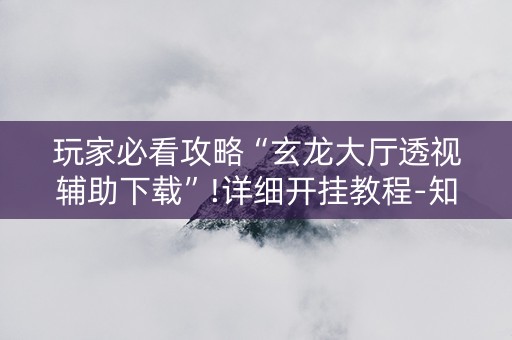 玩家必看攻略“玄龙大厅透视辅助下载”!详细开挂教程-知乎