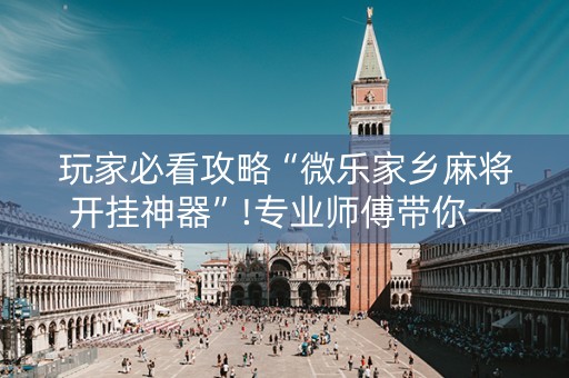 玩家必看攻略“微乐家乡麻将开挂神器”!专业师傅带你一起了解（详细教程）-知乎