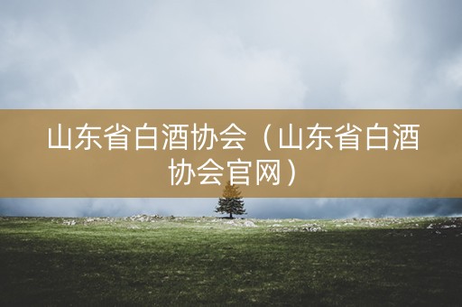 山东省白酒协会（山东省白酒协会官网）