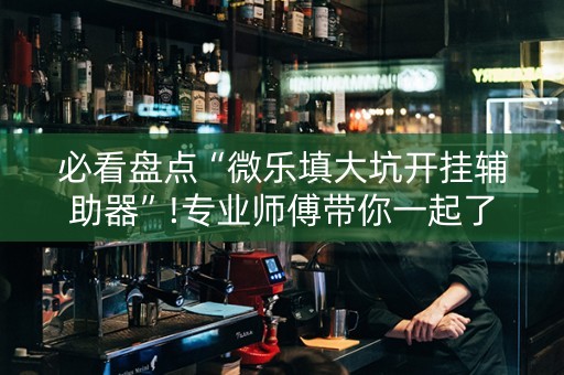 必看盘点“微乐填大坑开挂辅助器”!专业师傅带你一起了解（详细教程）-知乎