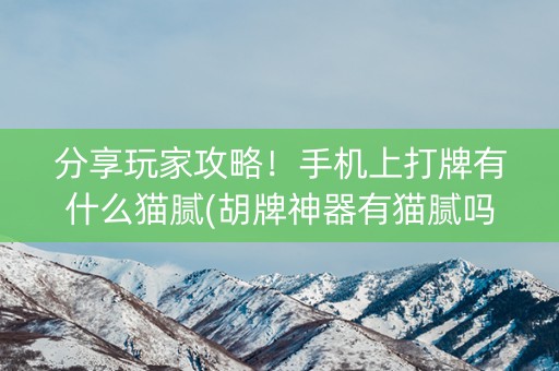 分享玩家攻略！手机上打牌有什么猫腻(胡牌神器有猫腻吗)