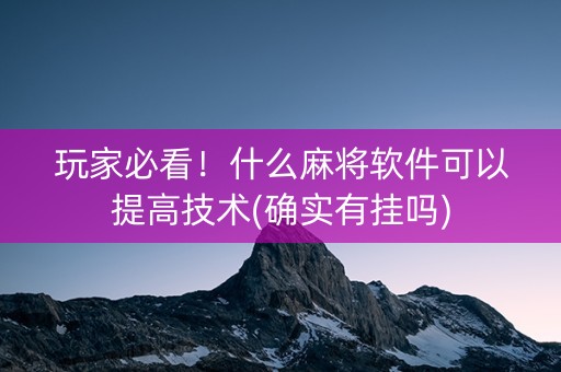 玩家必看！什么麻将软件可以提高技术(确实有挂吗)