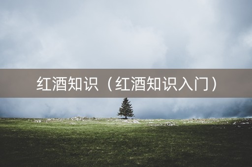 红酒知识（红酒知识入门）