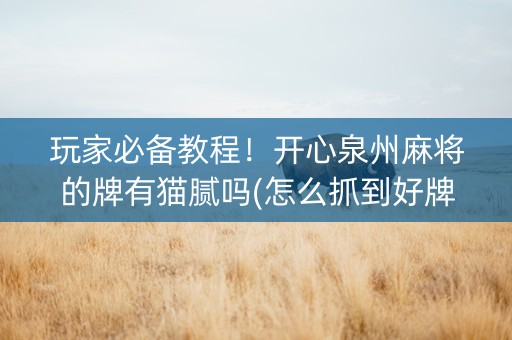 玩家必备教程！开心泉州麻将的牌有猫腻吗(怎么抓到好牌)