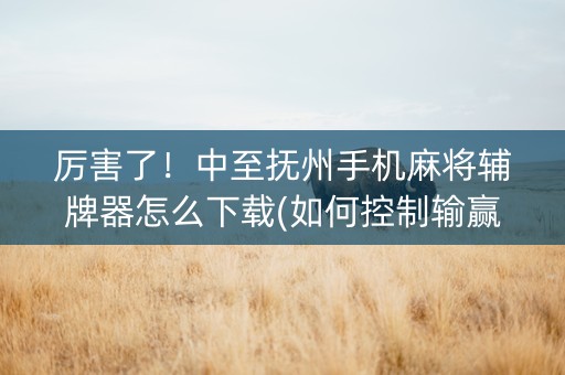 厉害了！中至抚州手机麻将辅牌器怎么下载(如何控制输赢)