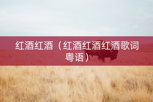 红酒红酒（红酒红酒红酒歌词粤语）