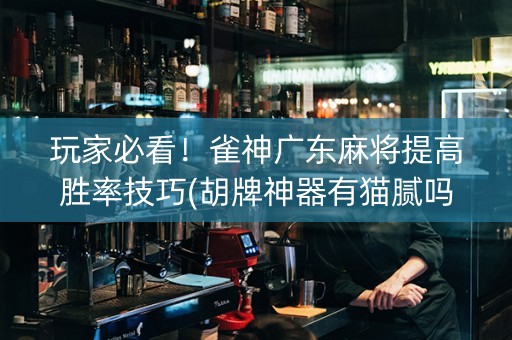 玩家必看！雀神广东麻将提高胜率技巧(胡牌神器有猫腻吗)