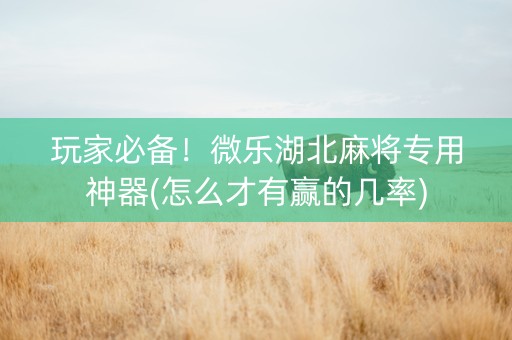 玩家必备！微乐湖北麻将专用神器(怎么才有赢的几率)