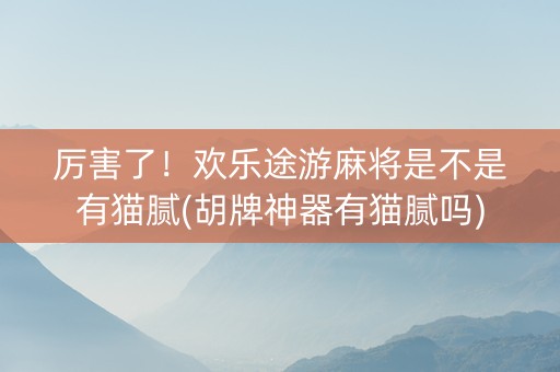 厉害了！欢乐途游麻将是不是有猫腻(胡牌神器有猫腻吗)