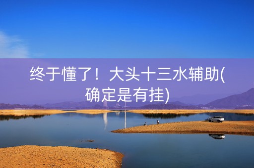 终于懂了！大头十三水辅助(确定是有挂)