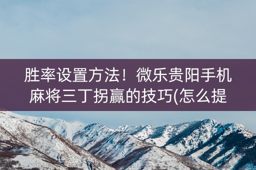 胜率设置方法！微乐贵阳手机麻将三丁拐赢的技巧(怎么提升胜率)