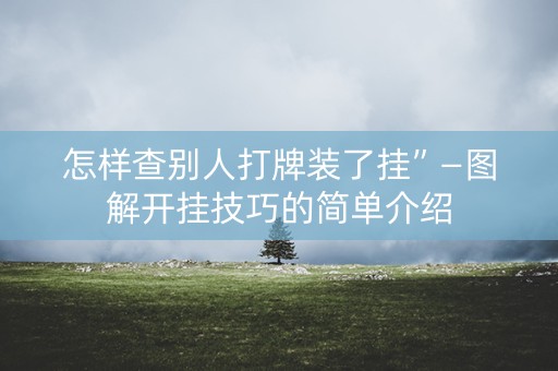 怎样查别人打牌装了挂”—图解开挂技巧的简单介绍