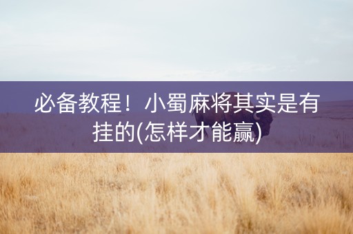 必备教程！小蜀麻将其实是有挂的(怎样才能赢)