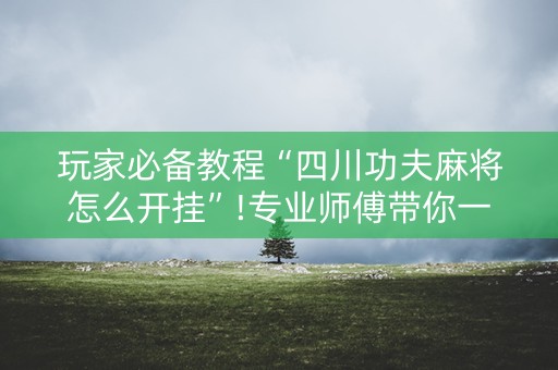 玩家必备教程“四川功夫麻将怎么开挂”!专业师傅带你一起了解（详细教程）-知乎