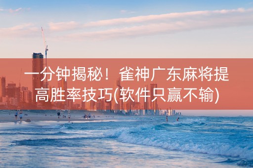 一分钟揭秘！雀神广东麻将提高胜率技巧(软件只赢不输)