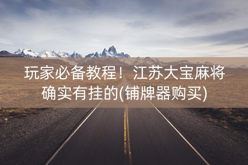 玩家必备教程！江苏大宝麻将确实有挂的(铺牌器购买)
