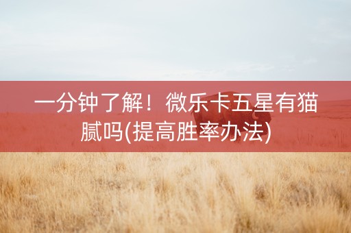 一分钟了解！微乐卡五星有猫腻吗(提高胜率办法)