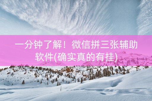 一分钟了解！微信拼三张辅助软件(确实真的有挂)