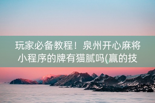 玩家必备教程！泉州开心麻将小程序的牌有猫腻吗(赢的技巧提高胜率)