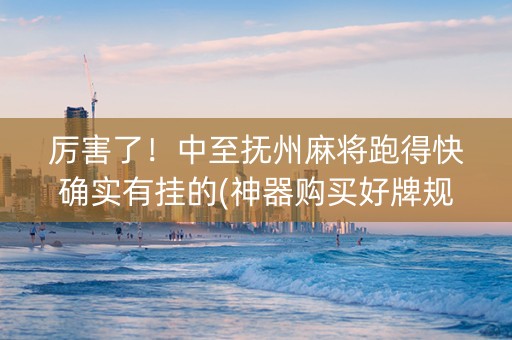 厉害了！中至抚州麻将跑得快确实有挂的(神器购买好牌规律)