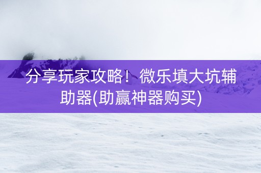 分享玩家攻略！微乐填大坑辅助器(助赢神器购买)